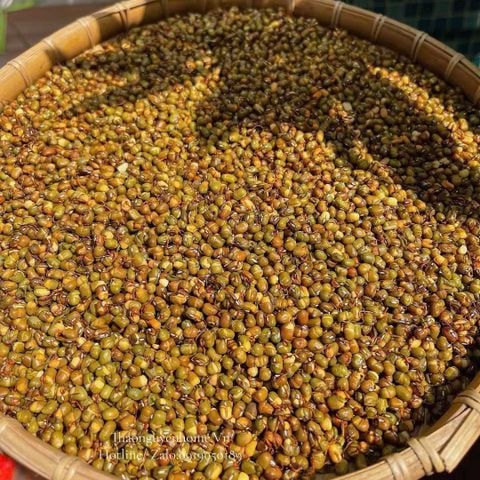  Trà đậu mầm đen xanh rang thơm 