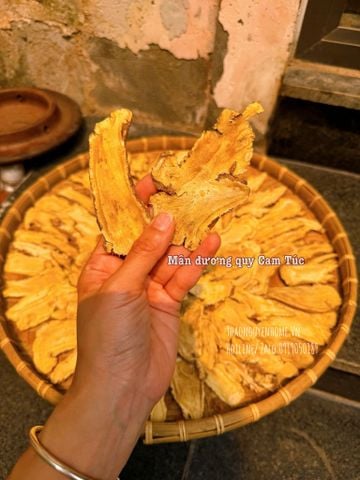  Sâm đương quy Cam Túc 100gram 