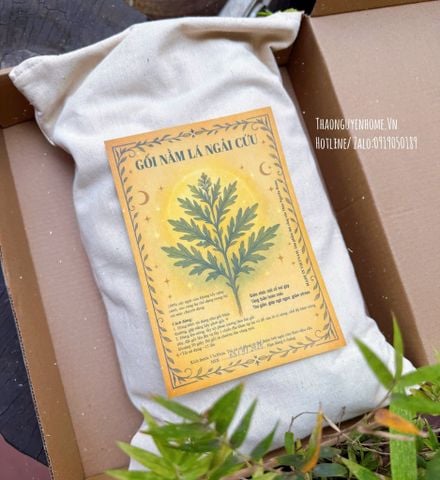  Túi chườm ngải cứu handmade - gối ngải cứu giảm đau nhức mỏi 