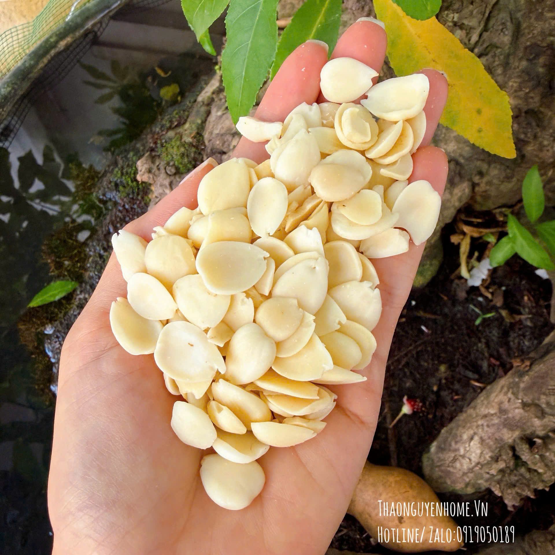 Hạnh Nhân Ngọt tỉnh Hà Bắc
