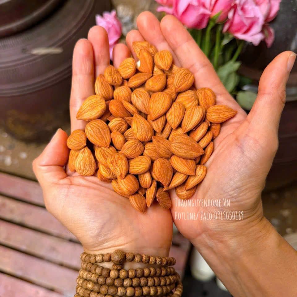 Hạnh nhân ngọt Đông y hũ 500gr