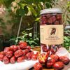 Hồng táo Nhược Khương quả mềm VIP ( dried jujube )