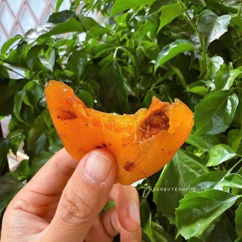  Hồng đốm treo gió gói 500gram 