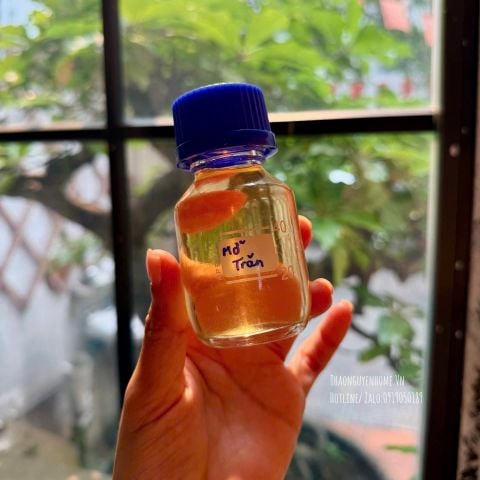  Mỡ trăn rừng nguyên chất 50ml 