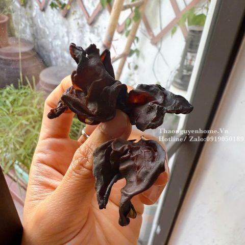  Mộc nhĩ tai nhỏ (hàng rừng) 500gr 