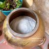 Muối khoáng phơi cát ( Sea Salt )