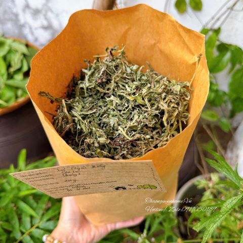  Ngải cứu rừng 200gram 