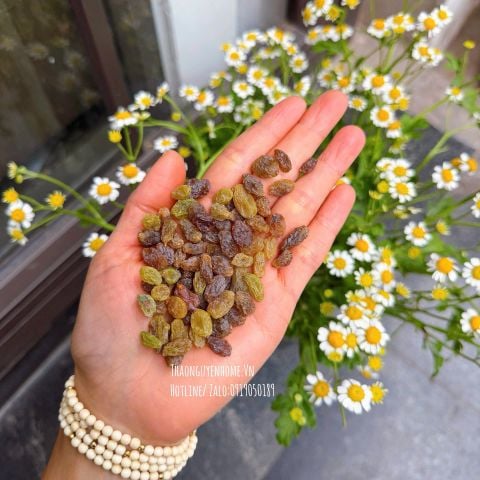  Nho gió nhà hoa hũ 500gr 