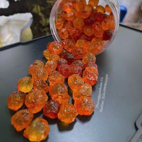  Nhựa đào thiên nhiên Vân Nam dòng chọn lọc 