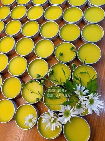  Sáp nẻ cúc chi 20gr 