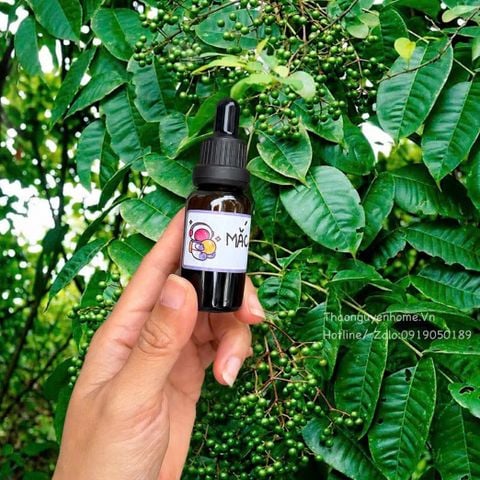  Tinh chất Mắc Khén rừng siêu tới hạn 20ml 