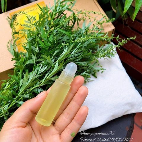  Tinh Dầu Ngải cứu bi lăn trị liệu 10ml 