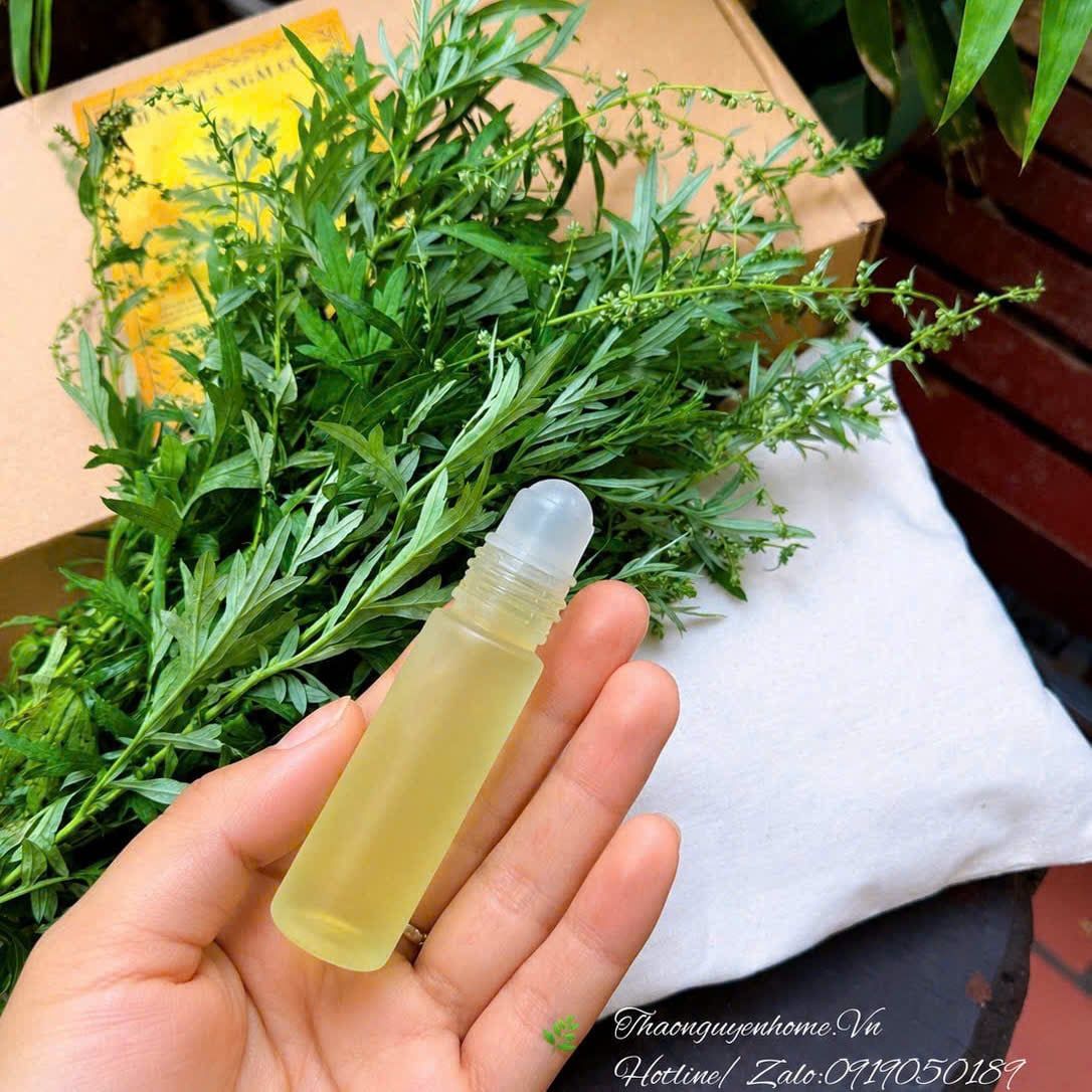 Tinh Dầu Ngải cứu bi lăn trị liệu 10ml