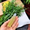 Tinh Dầu Ngải cứu bi lăn trị liệu 10ml