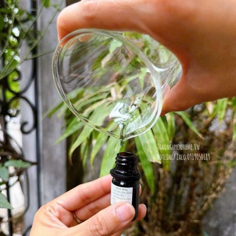  Tinh dầu Ngải cứu bi lăn trị liệu 10ml 