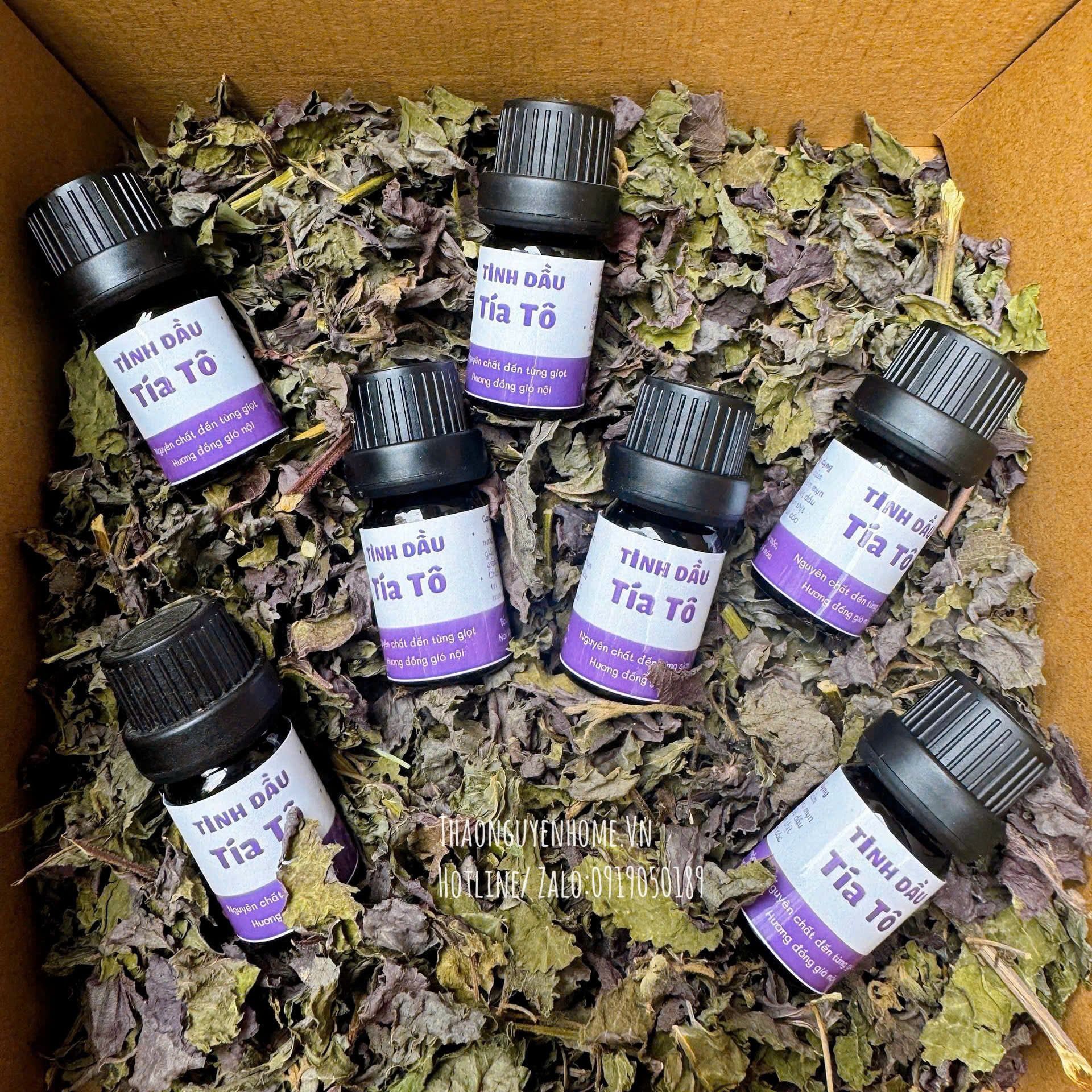 Tinh dầu tía tô 5ml