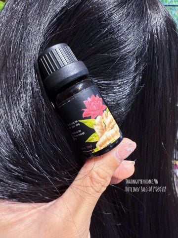  Tinh gừng đỏ 10ml (Ginger Oil) 