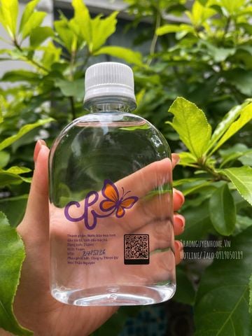  Bộ Khăn Uớt Bạc Hà Tía 250ml (Mint Wet Wipes) 