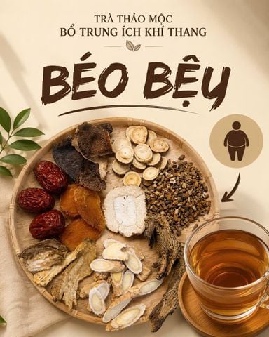  Trà cho người béo ( bổ trung ích khí ) 