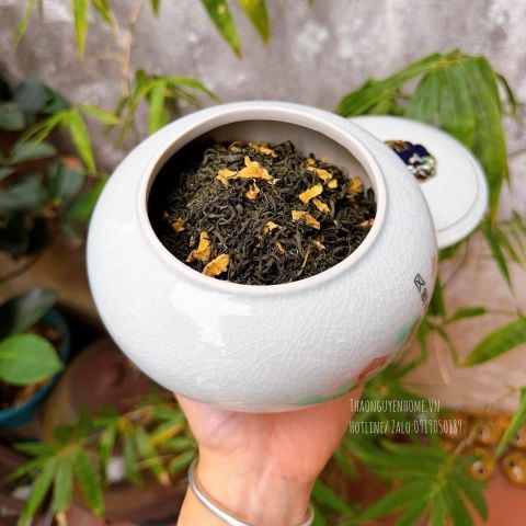  Trà cổ thụ Tân Cương hộp 500gr 