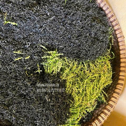  Trà cổ thụ Tân Cương hộp 500gr 