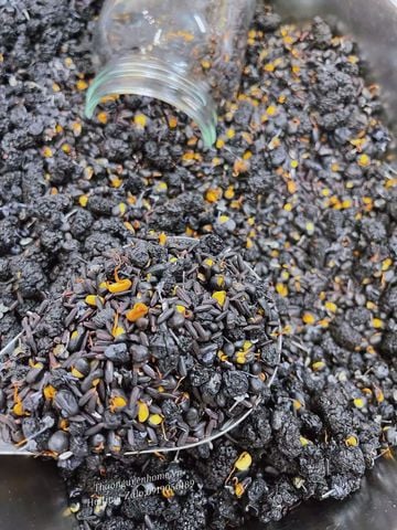  Trà dưỡng thận mùa đông hũ 300gram 