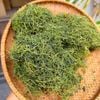 Trà giảo cổ lam mix vị Thảo Nguyên Home ( Trà Tiểu Đường)