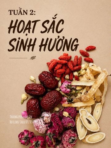  Bộ trà hoạt sắc sinh hương Thảo Nguyên Home 