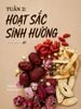 Bộ trà hoạt sắc sinh hương Thảo Nguyên Home