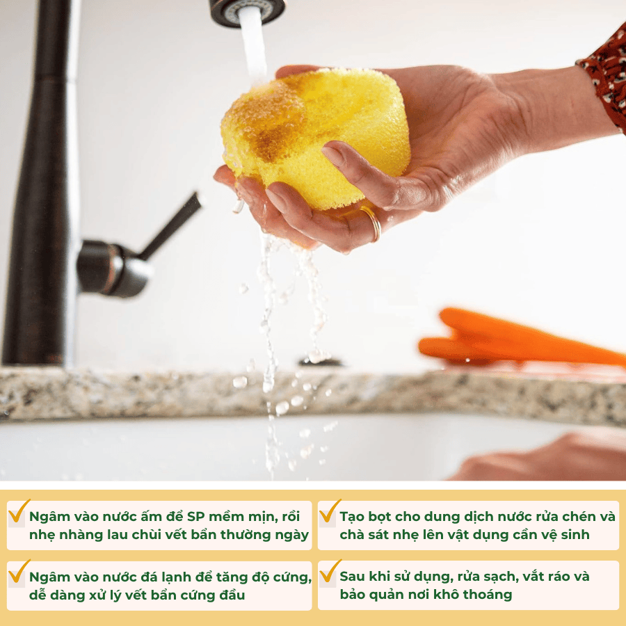 Miếng Rửa Chén Bọt Biển Scrub Daddy