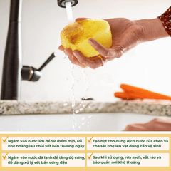 Miếng Rửa Chén Bọt Biển Scrub Daddy