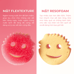 Miếng Rửa Chén Bọt Biển Scrub Mommy - Thương Hiệu Scrub Daddy