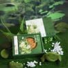 Bộ túi hộp trung thu 1 bánh lớn 300g - 500gr Nguyệt Liên