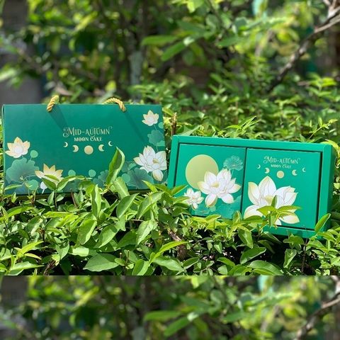 Bộ túi hộp trung thu 2 bánh 150g - 250g Bạch Liên kèm hộp con