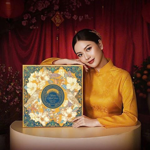 Bộ túi hộp đựng quà tết cao cấp Niên Hoa Vàng