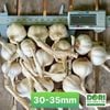 Tỏi Dori Lý Sơn - Gold - Loại đặc biệt - túi lưới 1kg ( KM đến hết 30/4/25)