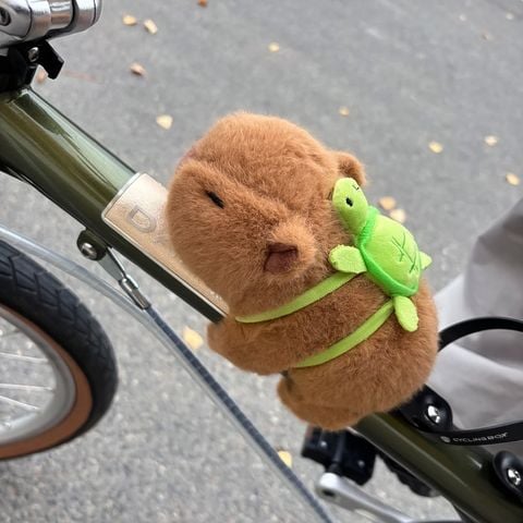  Capybara gắn xe đạp / xe máy 