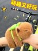 Capybara gắn xe đạp / xe máy