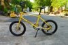 Xe đạp đi chơ SanSan 20 inch nhỏ xinh