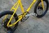 Xe đạp đi chơ SanSan 20 inch nhỏ xinh