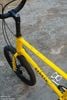 Xe đạp đi chơ SanSan 20 inch nhỏ xinh