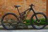 Xe đạp MTB StumpJumper