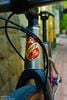 Xe đạp touring titanium Lynskey tím hồng dịu dàng