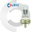  Bóng đèn Halogen - BRN, JCS120V-1200W - Ushio 1000072 