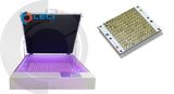 Bóng đèn UV chụp bản 