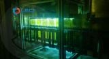  Đèn UV diệt khuẩn thực phẩm 