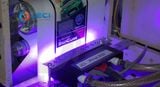  Mực in UV Offset 