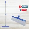 Cây Lùa Nước Sàn 45cm-Cây Gạt Nước