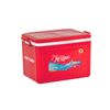Thùng Đá Hiệp Thành 70 Lít 2 Nắp