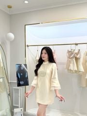 Liên Y Dress - Đầm tafta mini